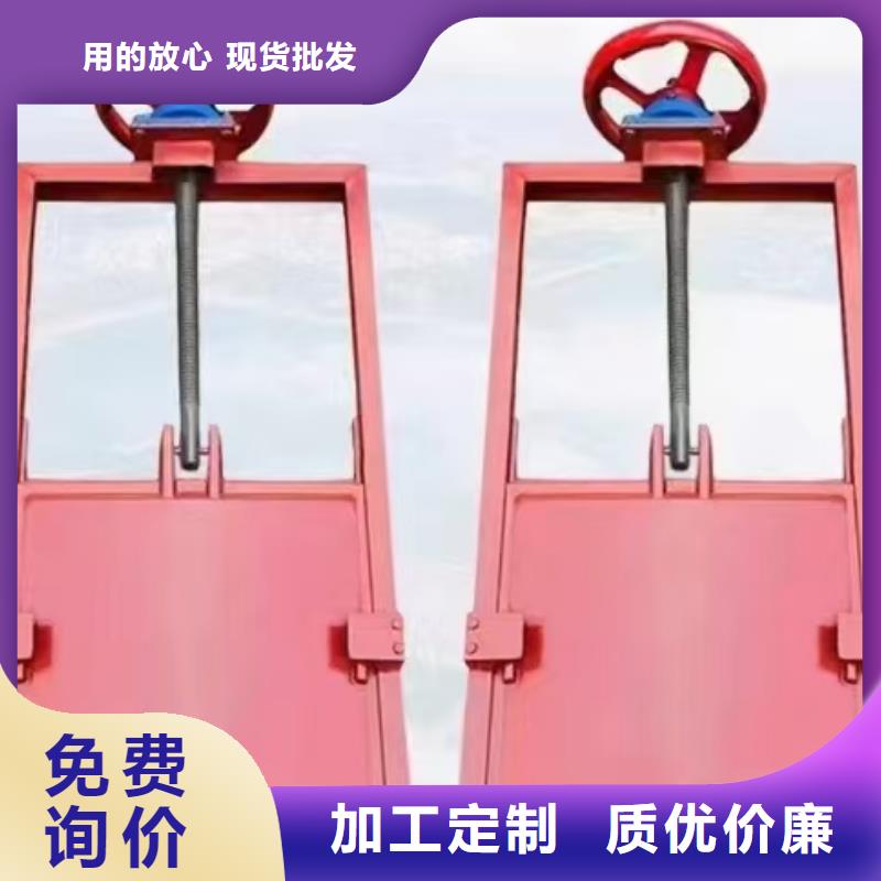 渠道闸门-PZ平板平面双向止水铸铁闸门信誉良好