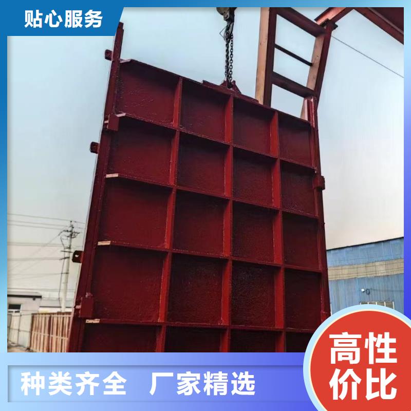 镶铜铸铁闸门[厂家]