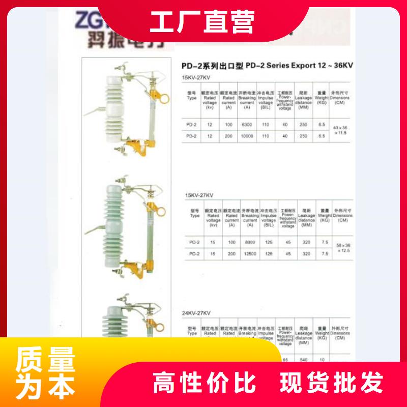 【熔断器】绝缘子厂家您身边的厂家