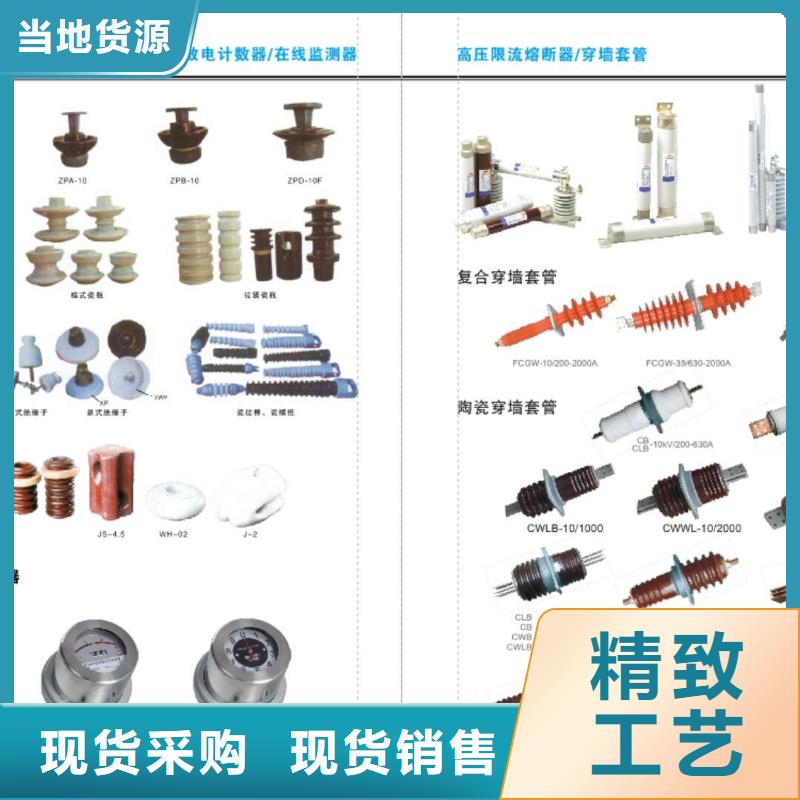 【高压隔离开关真空断路器专注细节专注品质】