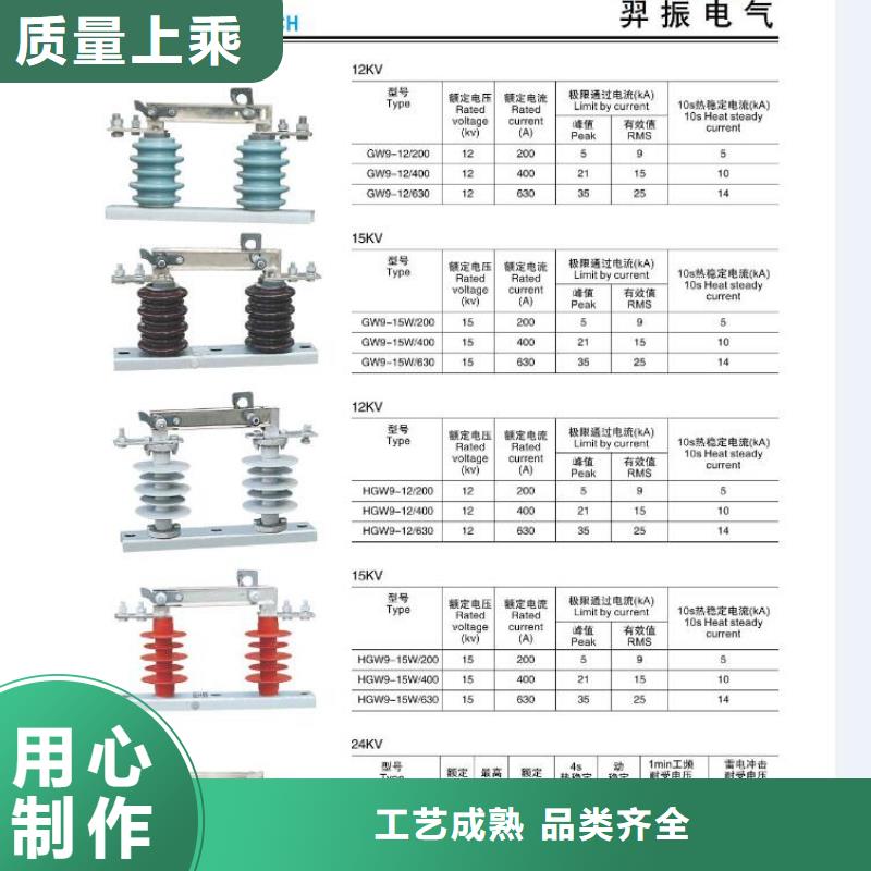 高压隔离开关,穿墙套管多年实力厂家