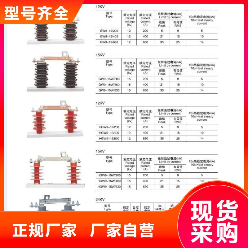 高压隔离开关三相组合式避雷器通过国家检测