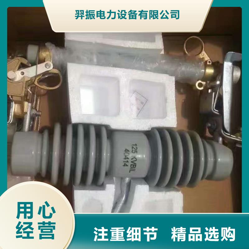 熔断器-金属氧化物避雷器每一处都是匠心制作