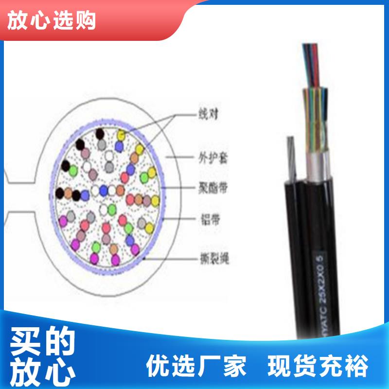 通信电缆【屏蔽电缆】厂家规格全