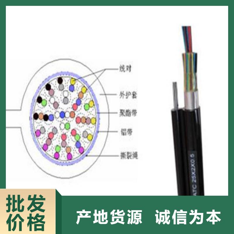 【通信电缆信号电缆精工细作品质优良】