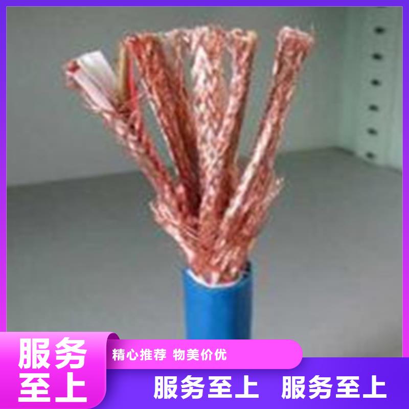 【计算机电缆-信号电缆专注细节专注品质】