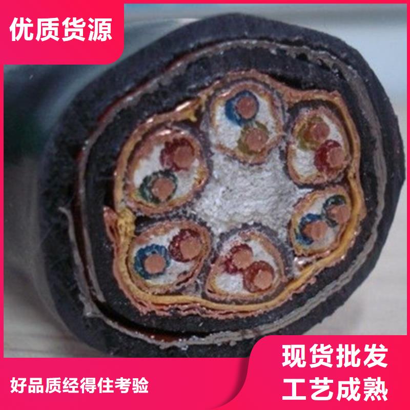 计算机电缆屏蔽电缆实力厂家直销