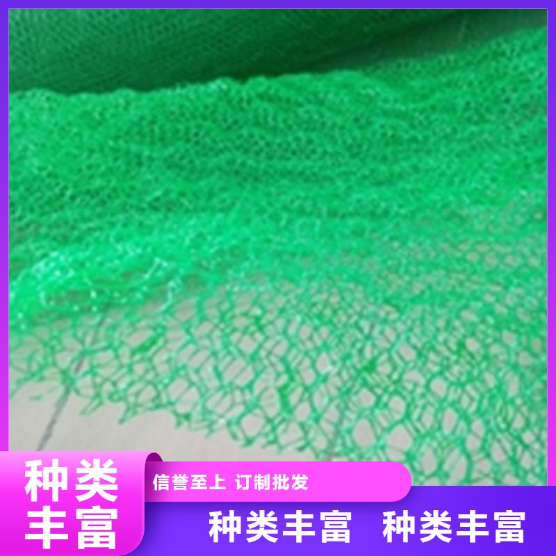 三维植被网【土工席】用心做好每一件产品