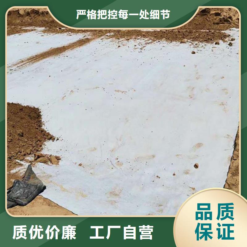 膨润土防水毯防水板出厂严格质检