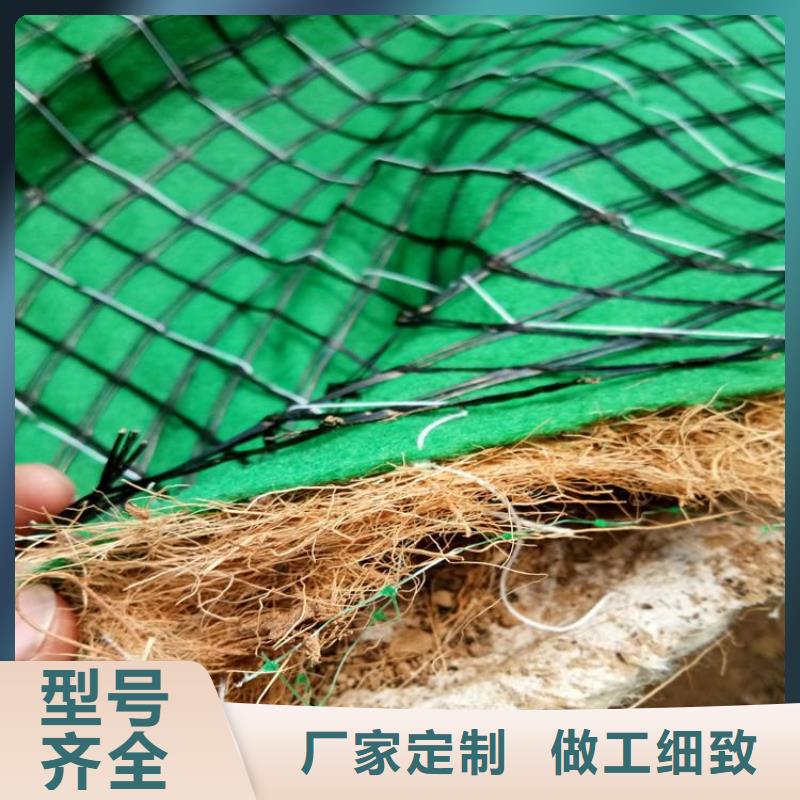 【椰丝毯】防草布种类丰富