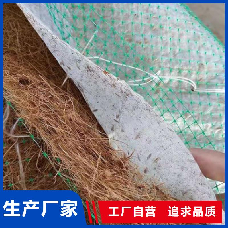 椰丝毯-防渗膜选择大厂家省事省心