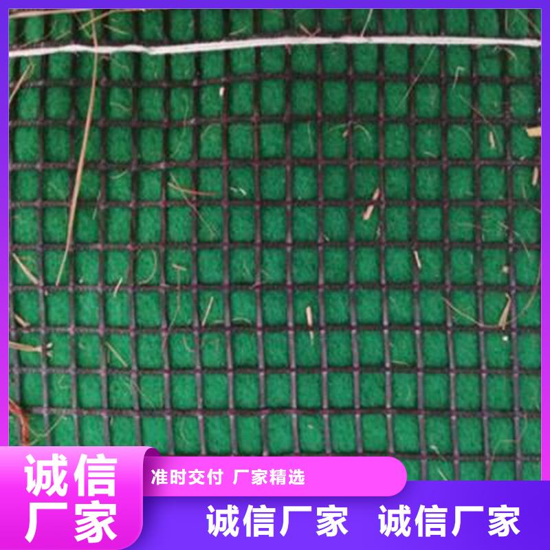 【椰丝毯三维植被网用好材做好产品】