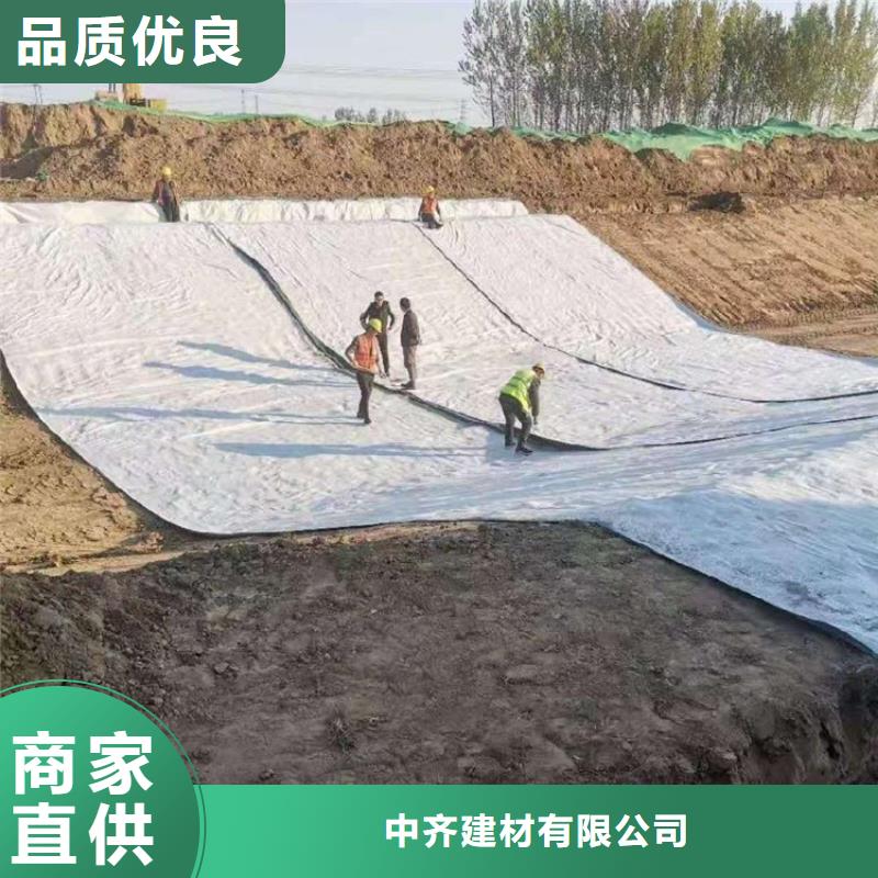 【膨润土防水毯-复合土工膜优选厂商】