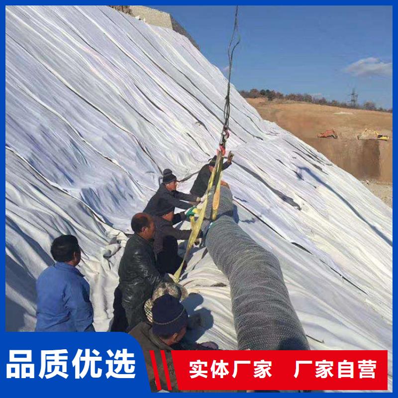 膨润土防水毯双向塑料土工格栅厂家型号齐全