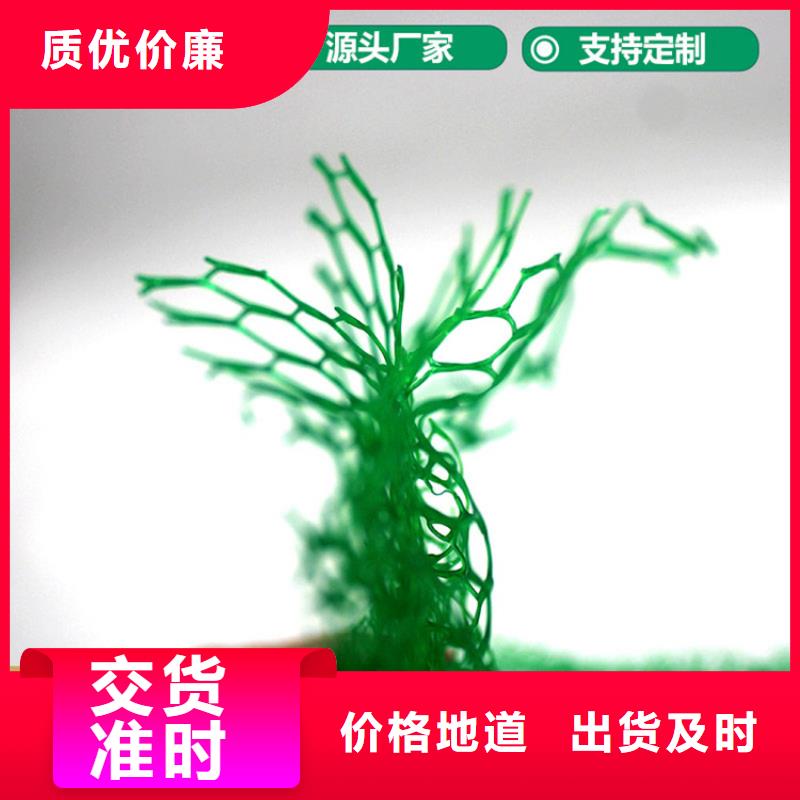 三维植被网【排水板】质量看得见