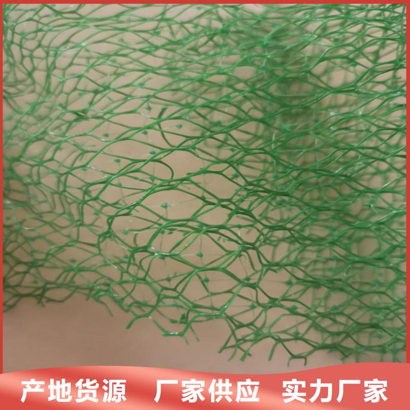 三维植被网-防渗膜直销厂家