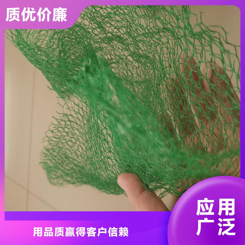 三维植被网双向土工格栅海量库存