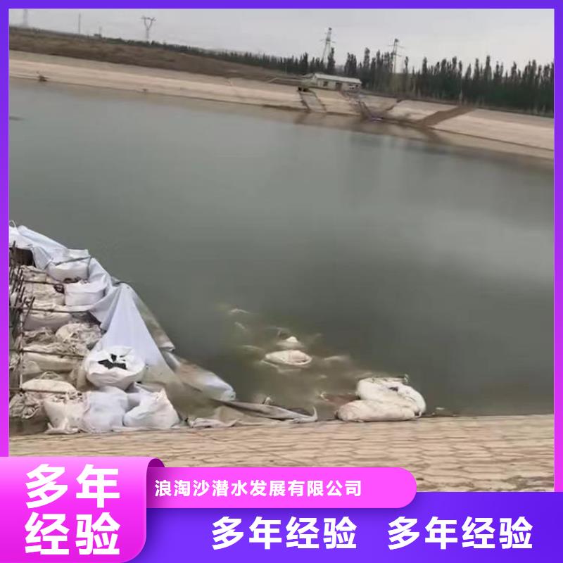 三沙市污水厂打捞泵实体厂家浪淘沙水工