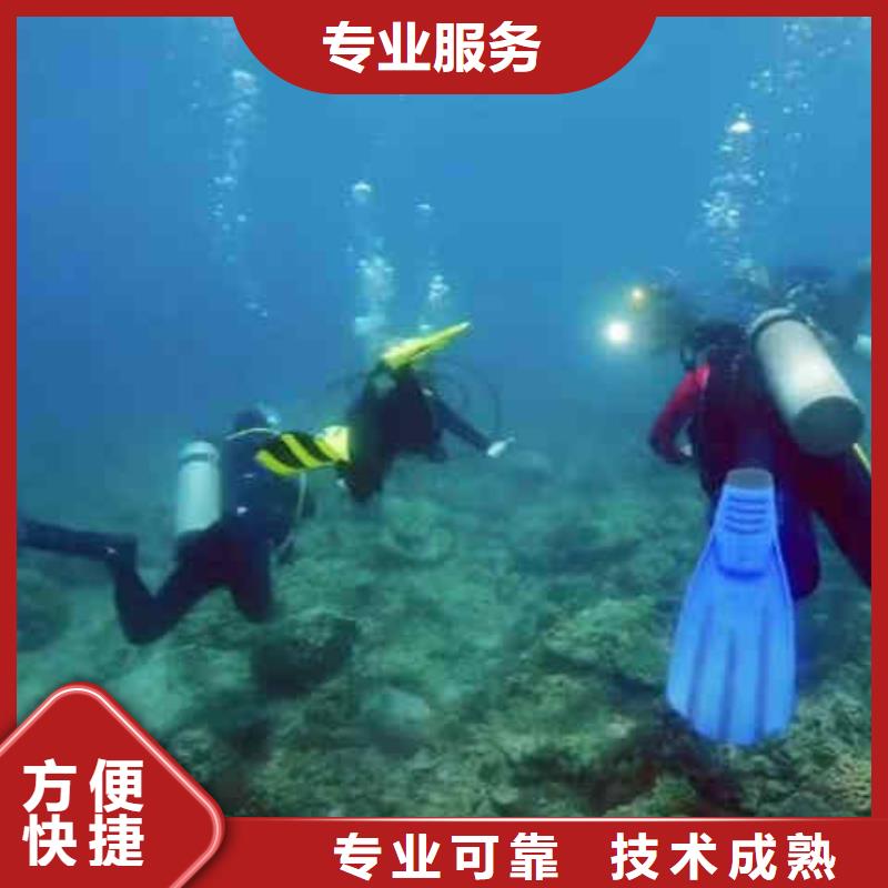 潜水员服务本地潜水搜索团队免费咨询