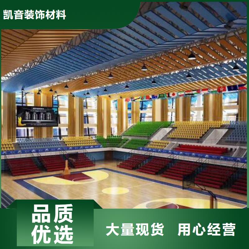 河北省买[凯音]篮球馆体育馆声学改造价格--2024最近方案/价格