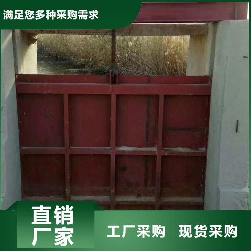 单向铸铁闸门可定制定做产品