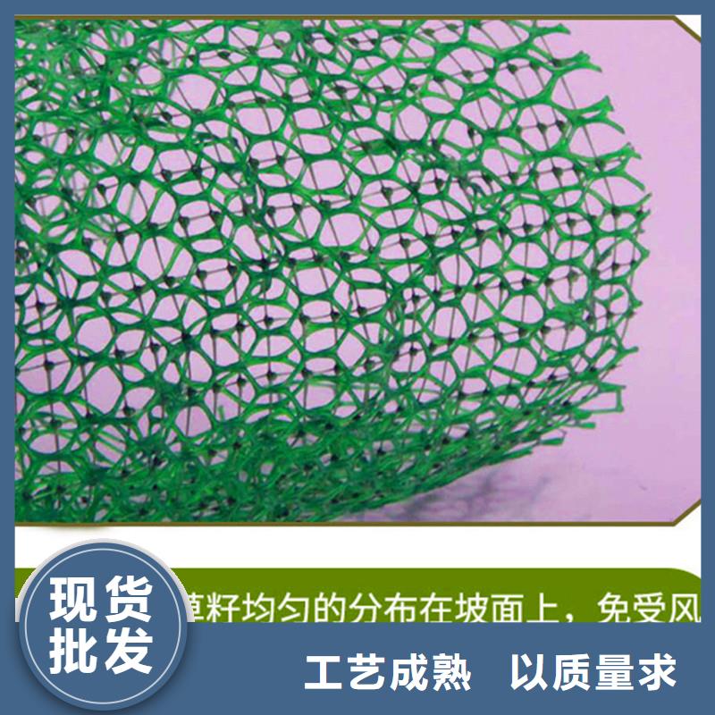 三维植被网聚乙烯醇纤维厂家厂家货源稳定