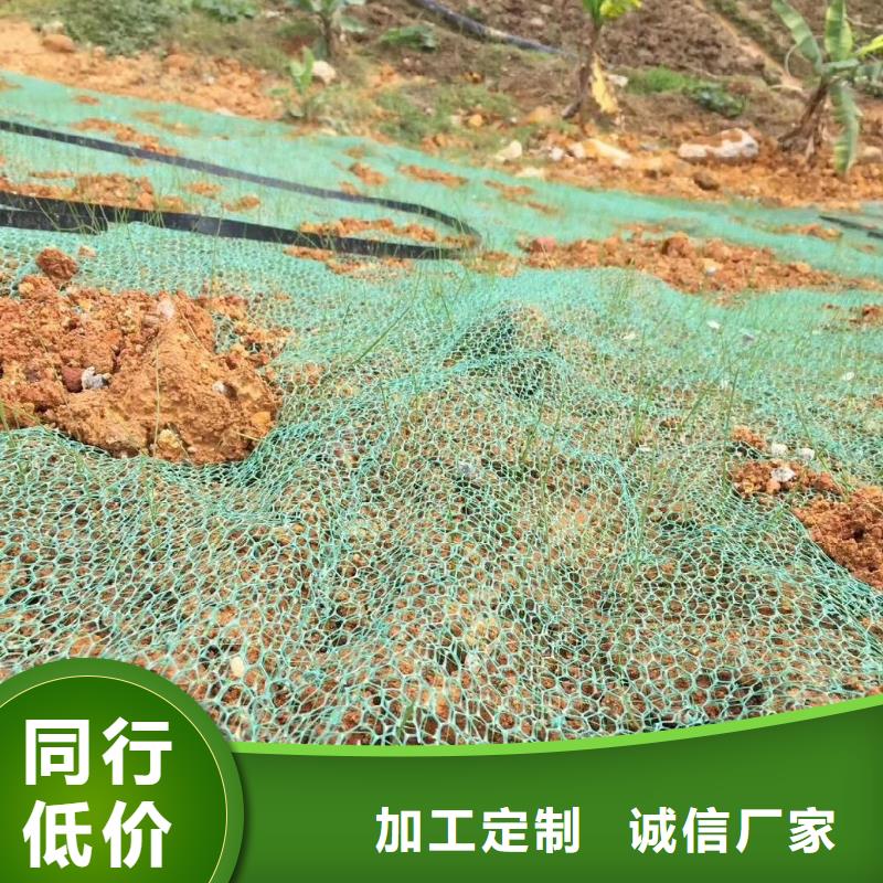 三维植被网止水铜片厂家满足您多种采购需求