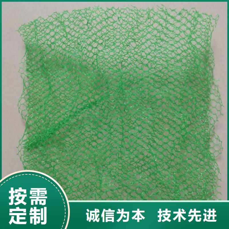 三维植被网止水铜片用心做产品