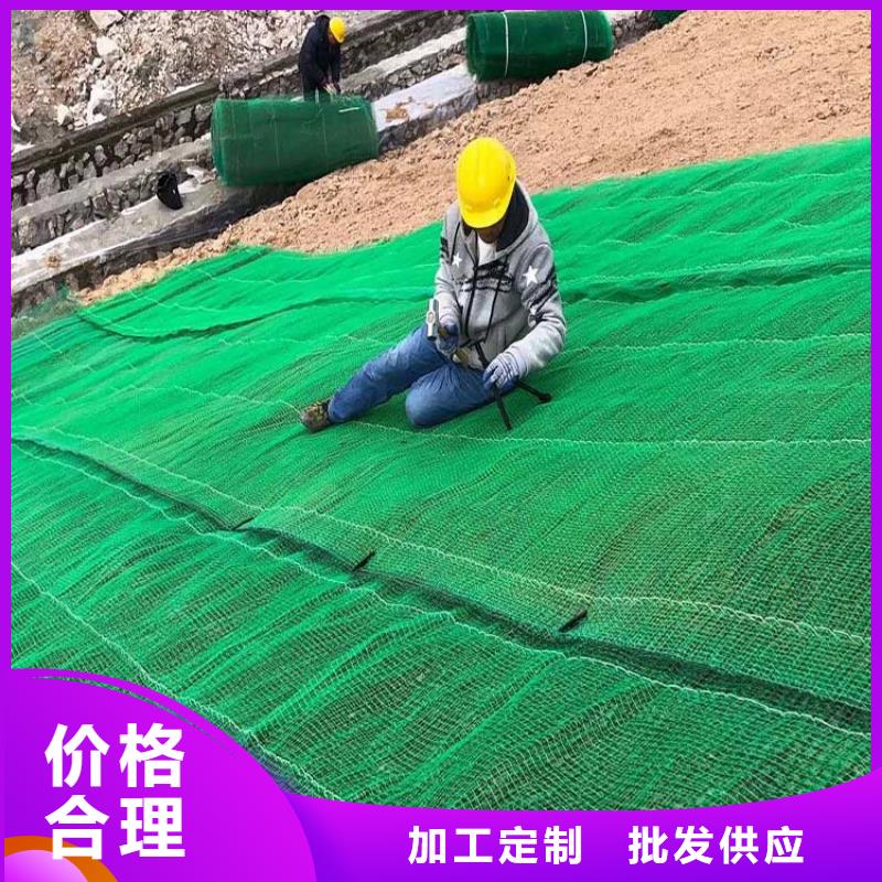 三维植被网pp杜拉纤维厂家实力大