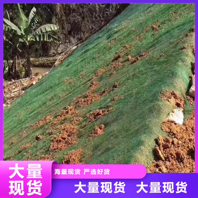 三维植被网【抗裂纤维厂家】工厂直供