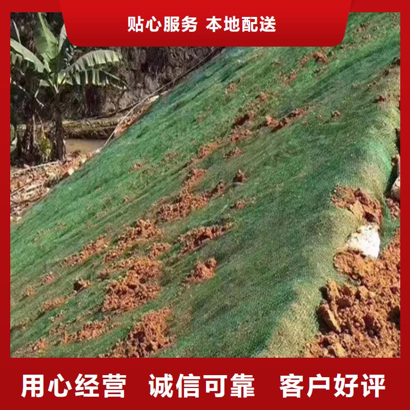 三维植被网铜片止水厂家原料层层筛选