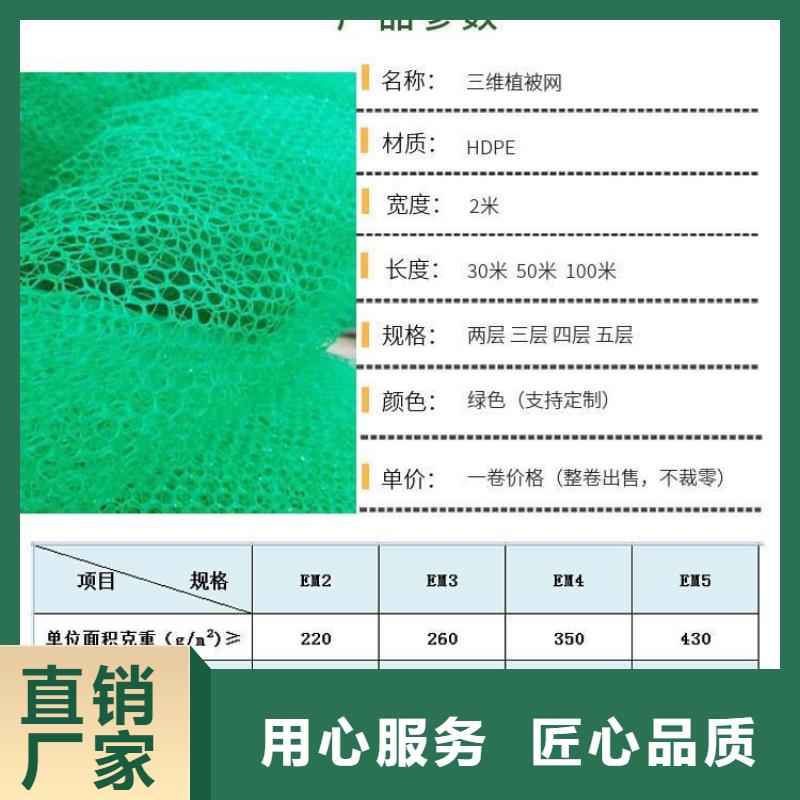 三维植被网聚乙烯醇纤维厂家厂家货源稳定