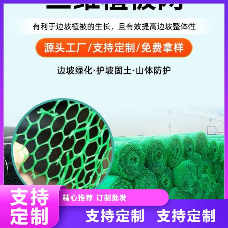 三维植被网止水铜片厂家满足您多种采购需求