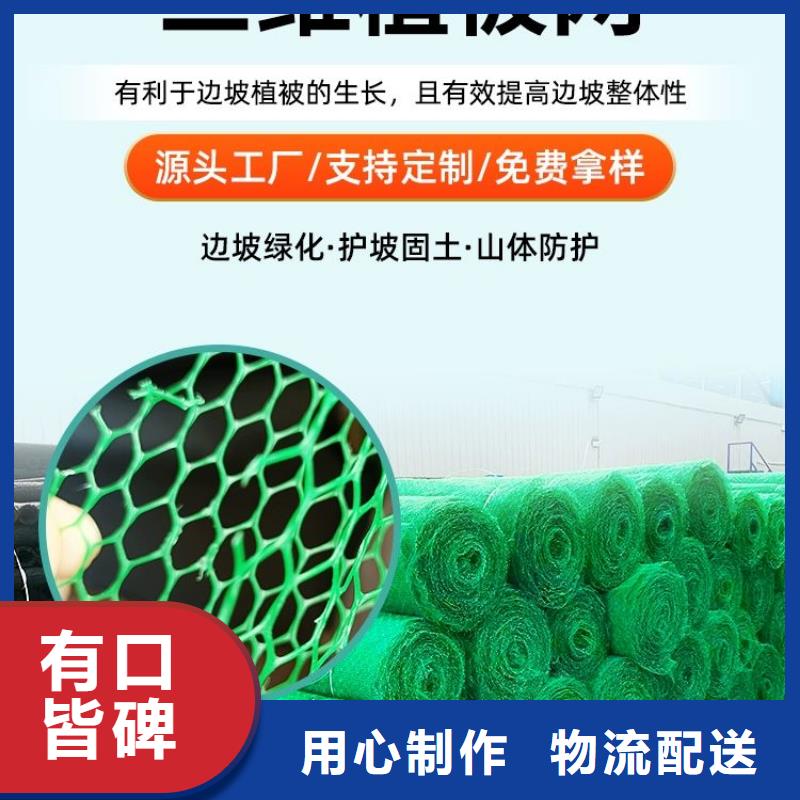 三维植被网 【铜止水生产厂家】品质优选