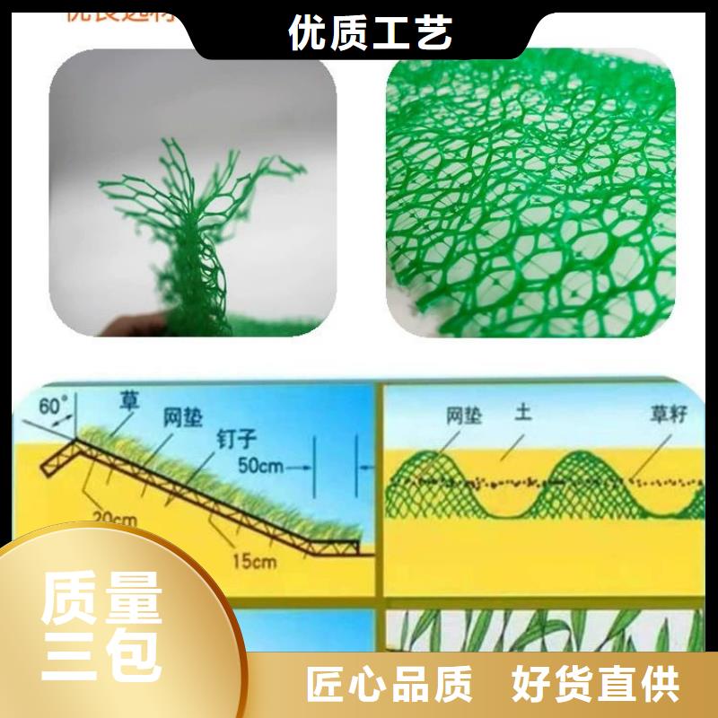 三维植被网软式透水管质优价廉