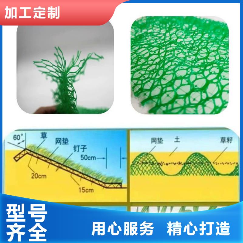 三维植被网_渗排水网垫好货直销