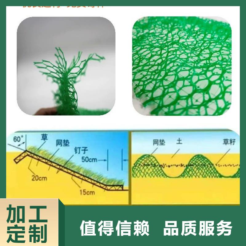 三维植被网沥青麻絮实力厂商