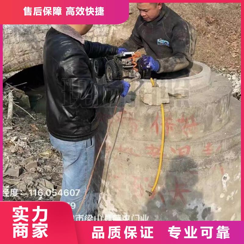 水下安装蛙人救援团队质优价廉