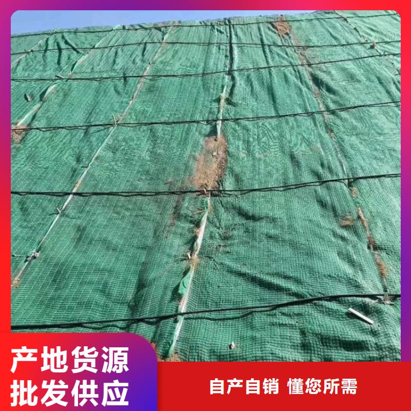 椰丝毯_玻璃纤维土工格栅用好材做好产品