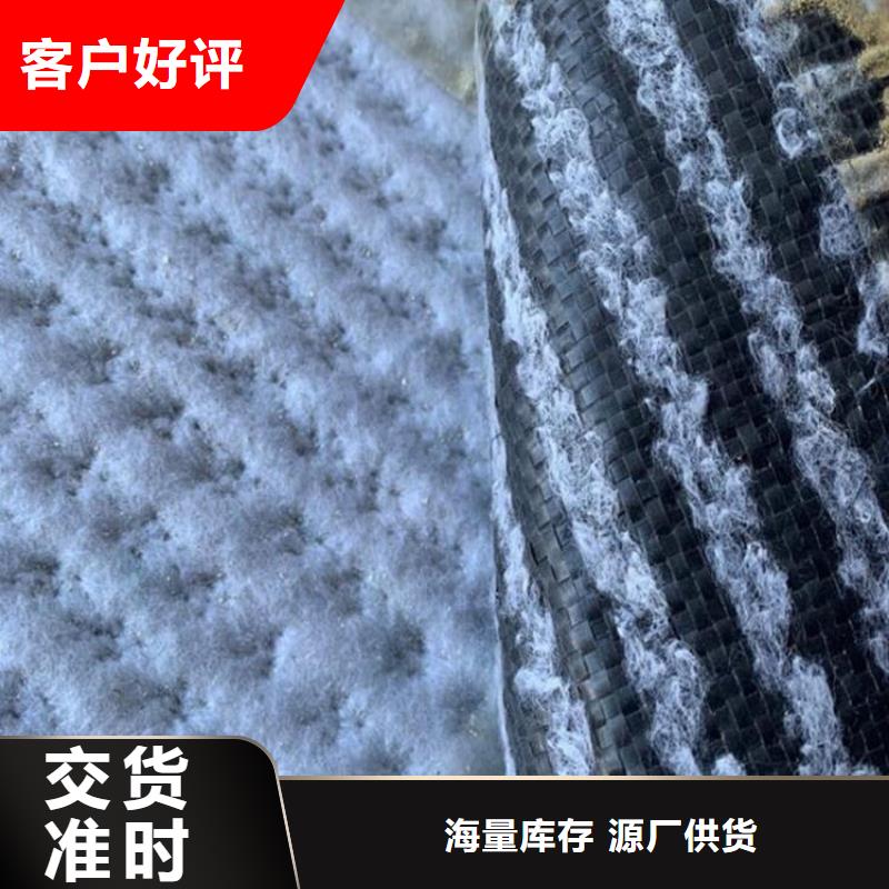 膨润土防水毯土工格栅实体厂家支持定制