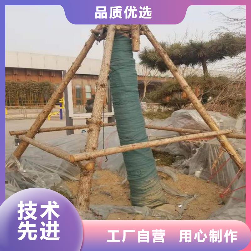 【裹树布,土工格栅使用方法】