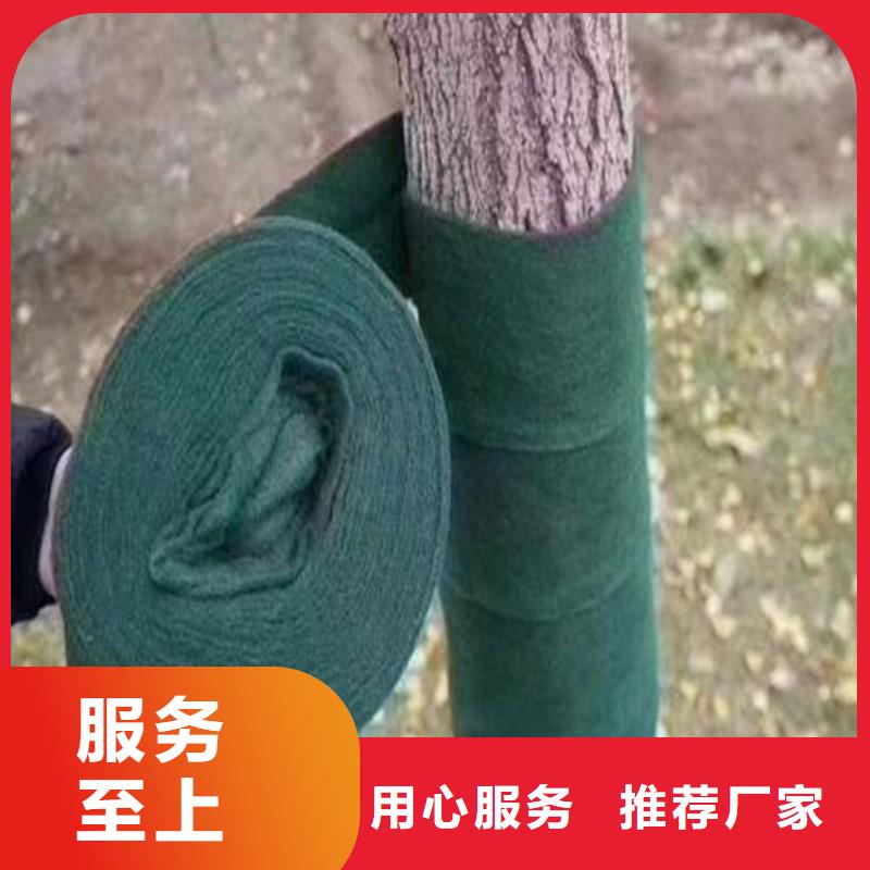 【裹树布】土工格栅专注产品质量与服务