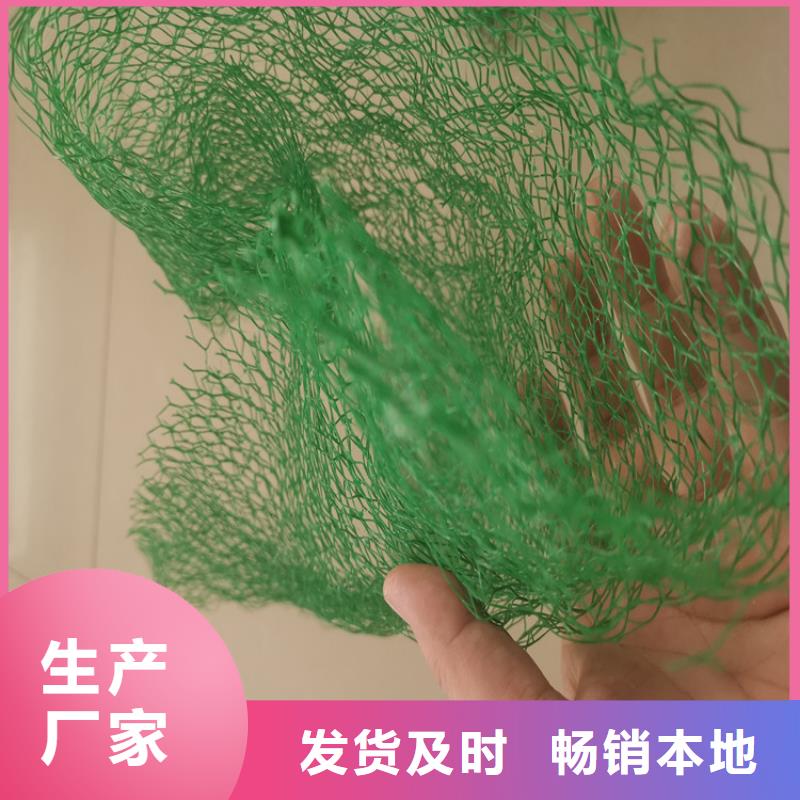 三维植被网-软式透水管多种规格可选