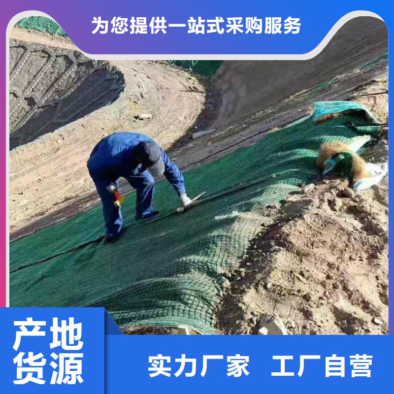 椰丝毯防渗膜工艺成熟