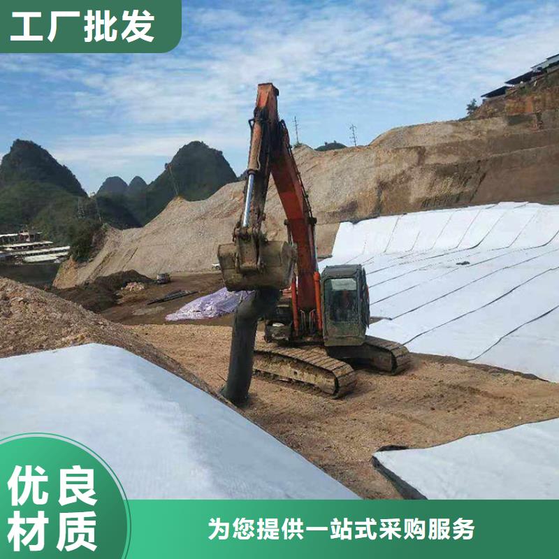 膨润土防水毯【钢塑土工格栅】源头厂家量大价优