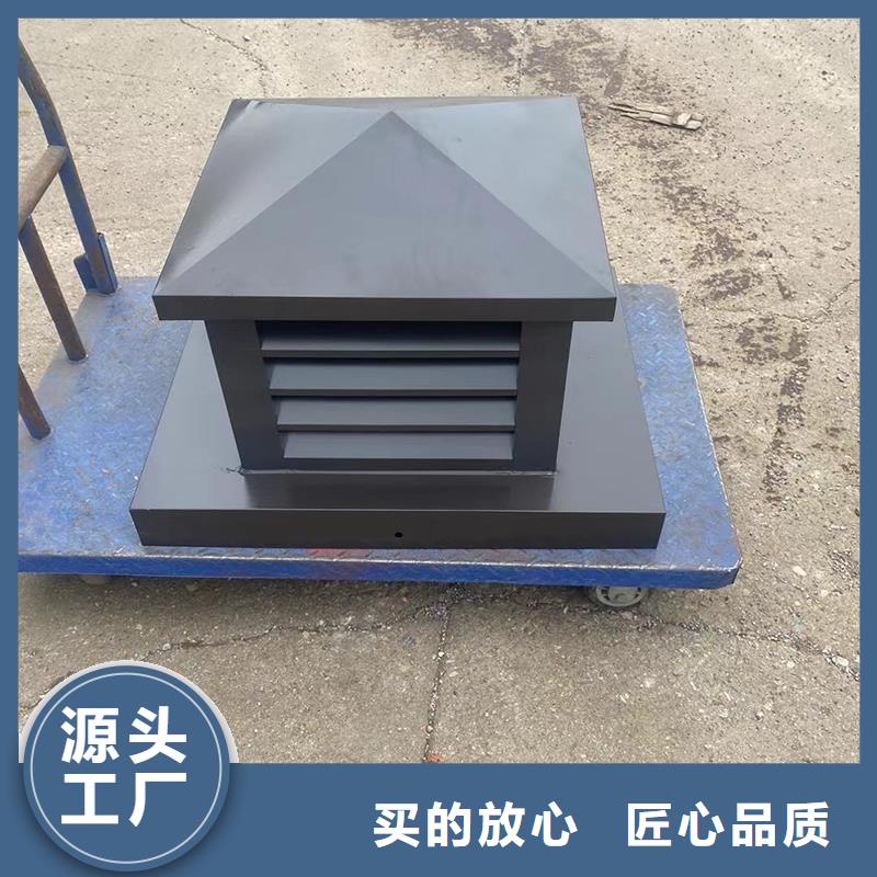 止回式风帽种植基地