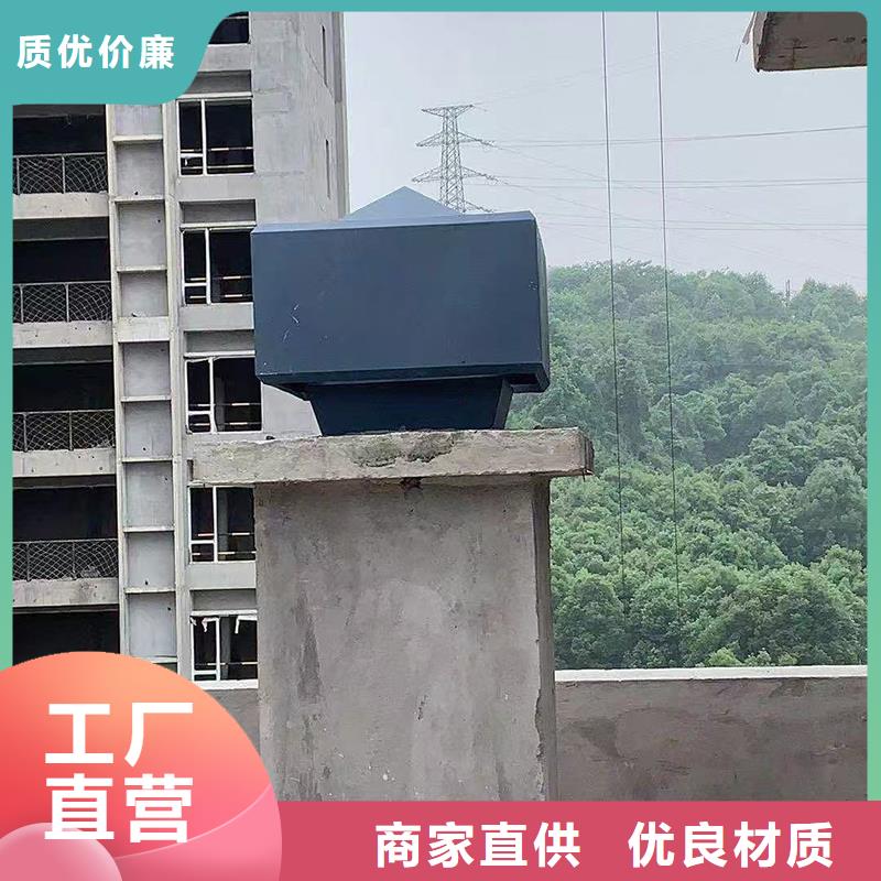 止回式风帽种植基地