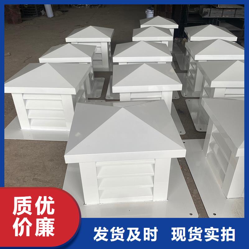 成品止回式风帽良心厂家