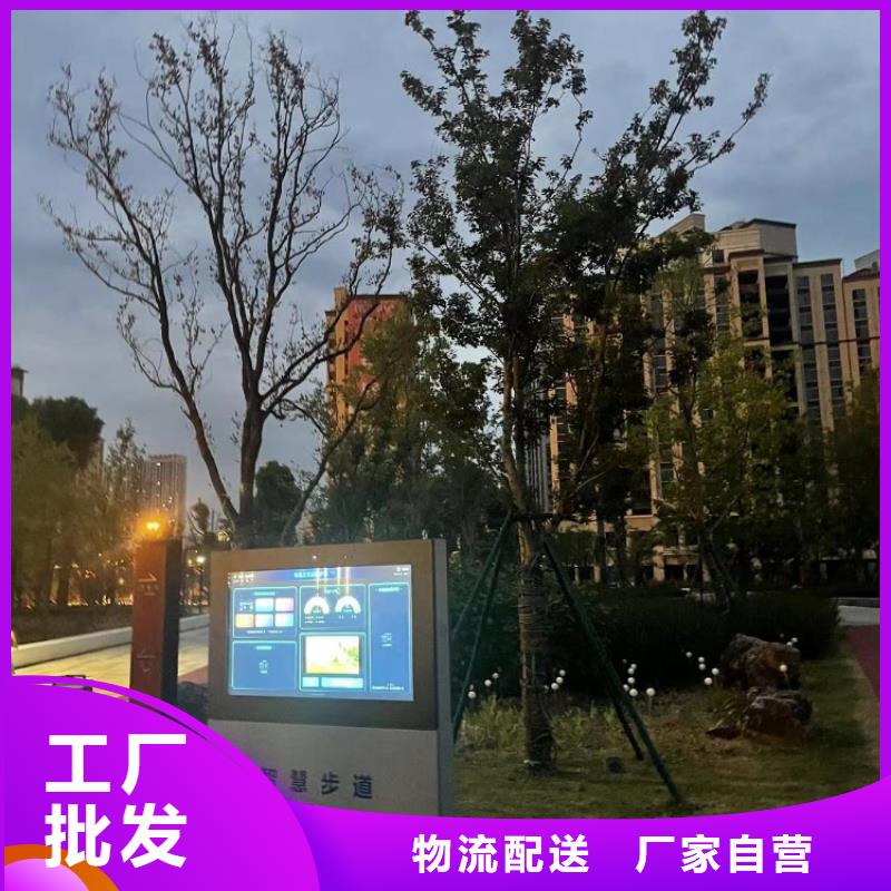 智慧,【公园健身大屏步道】厂家精选