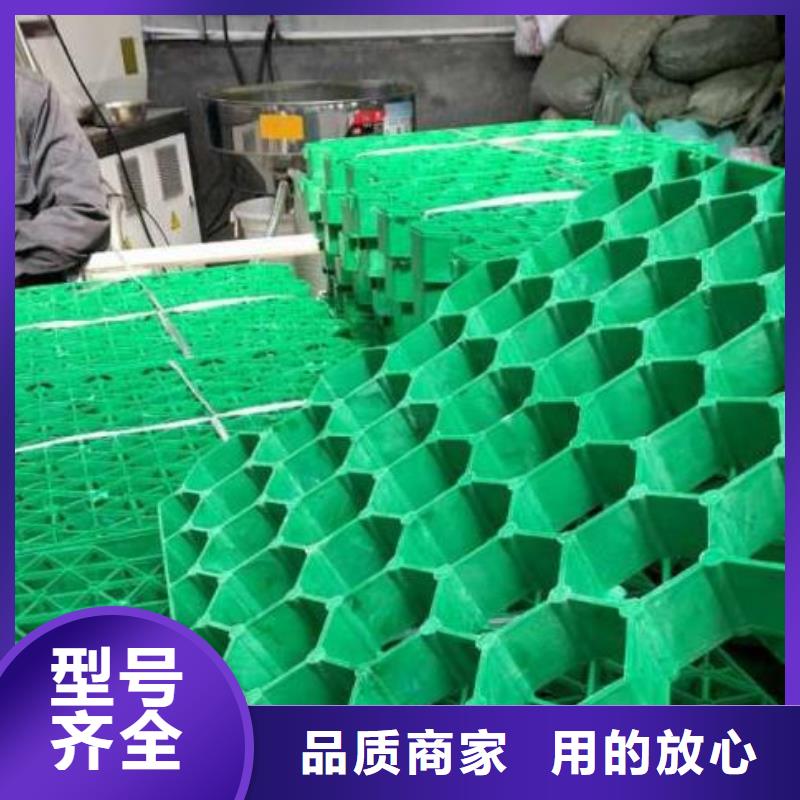 【植草格水泥化粪池优选货源】